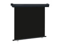 Balcony side awning 160x250 cm Black HBJK82747
